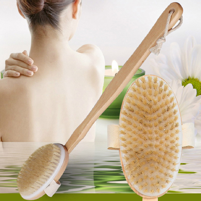 Bathroom Body Brushes Long Han - Dry Brush Body 리뷰 및 가격