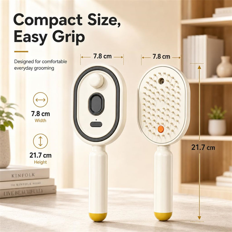 Electric Spray Air Cushion Mas - Dry Brush Body 리뷰 및 가격