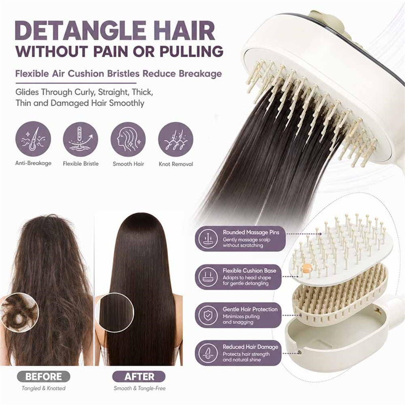 Electric Spray Air Cushion Mas - Dry Brush Body 리뷰 및 가격