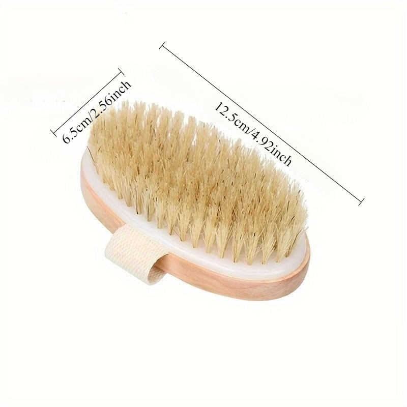 Original Wood Handle Body Brus - Dry Brush Body 리뷰 및 가격