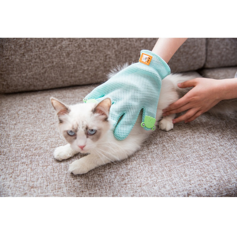 Pet Grooming Glove, Deshedding - Hair Spa Wellness 리뷰 및 가격
