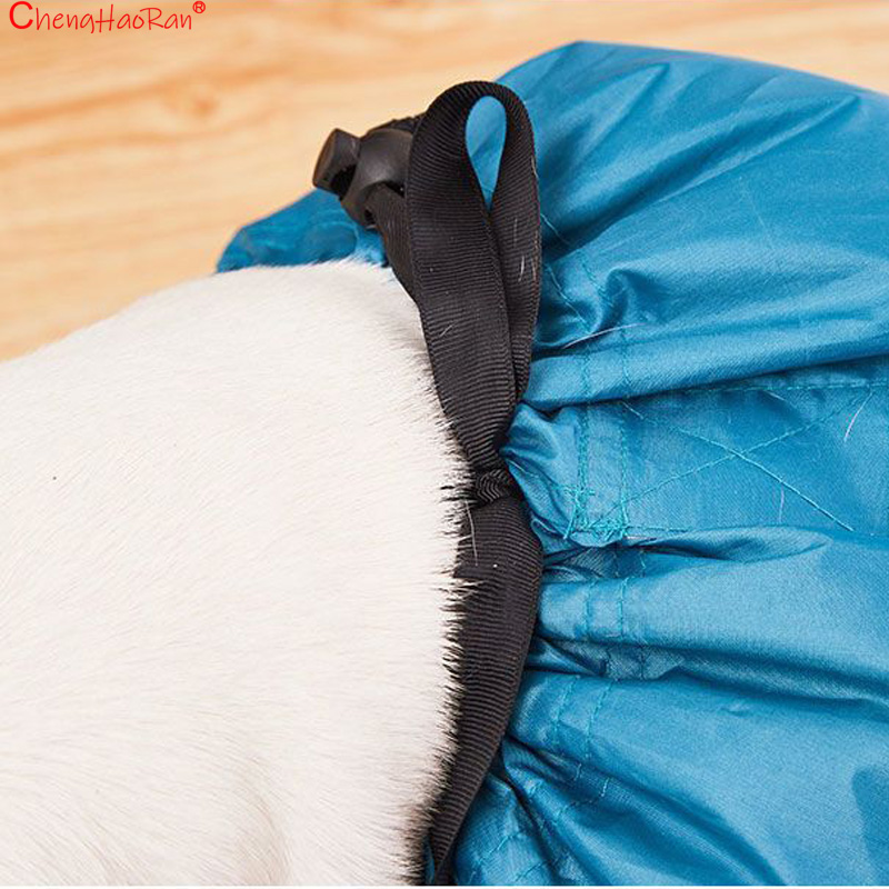 1Pc Pet Drying Bag Hair Dryer  - Hair Spa Wellness 리뷰 및 가격